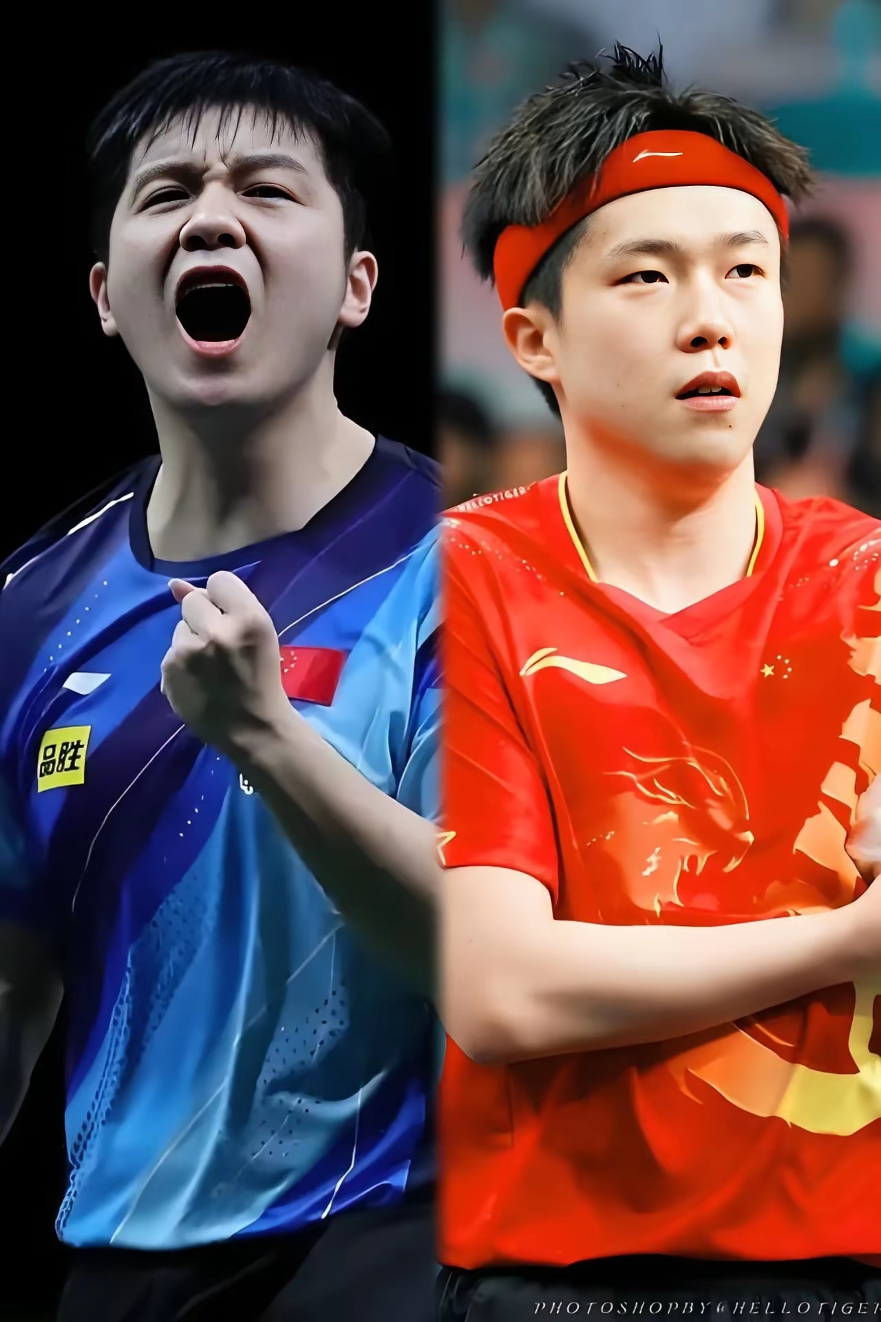 英格兰队横扫韩国队，樊振东状态火热