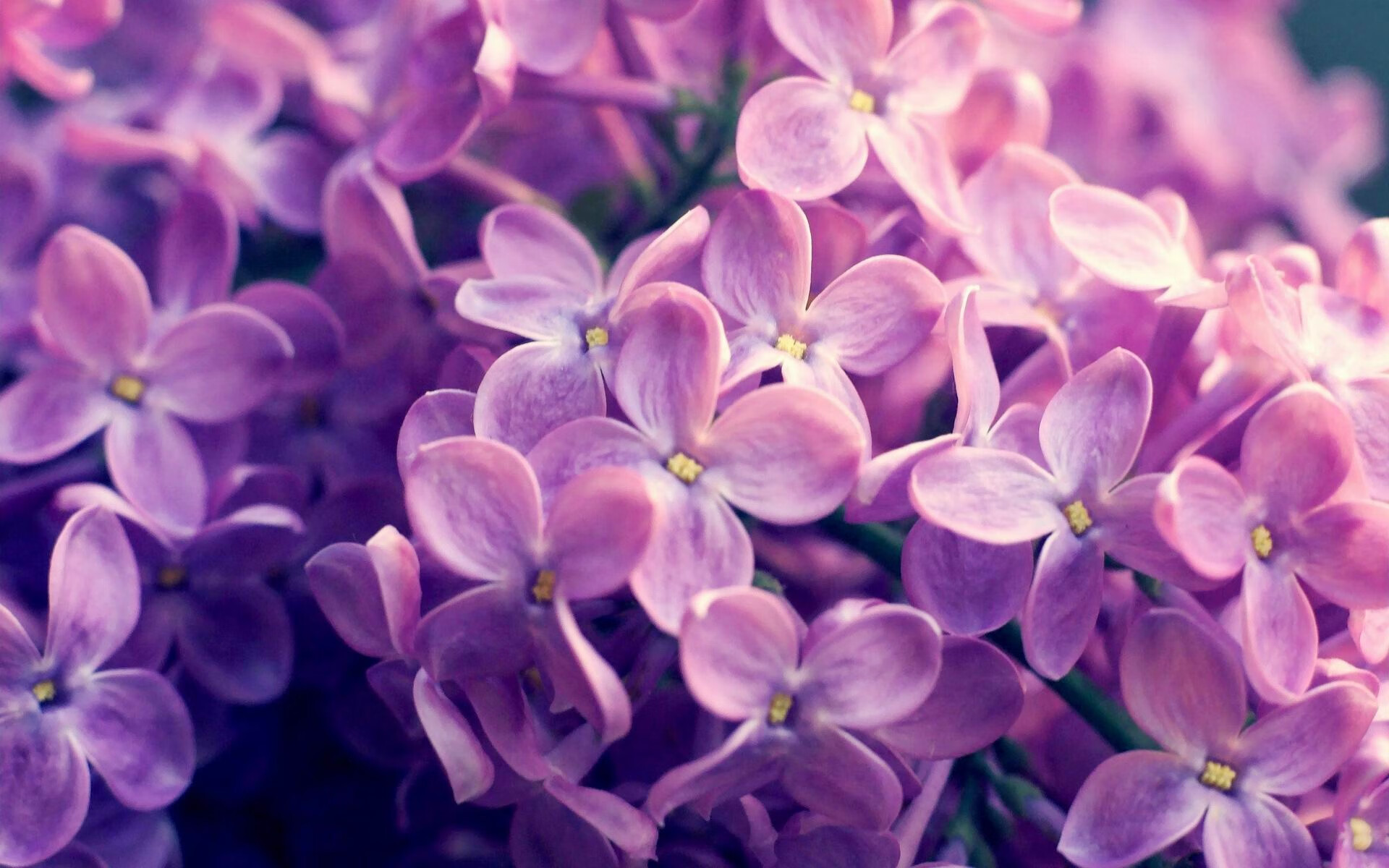 罗德里之夜，德甲争冠战的隐形主宰与战术革命